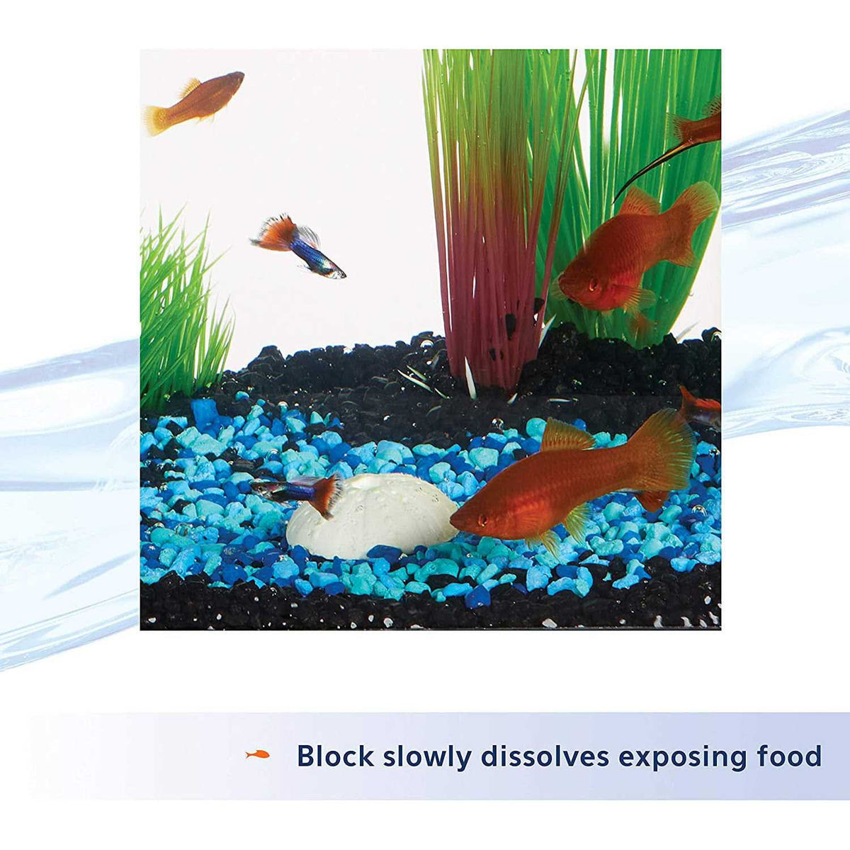 7-Day Fish Food Feeder K323
