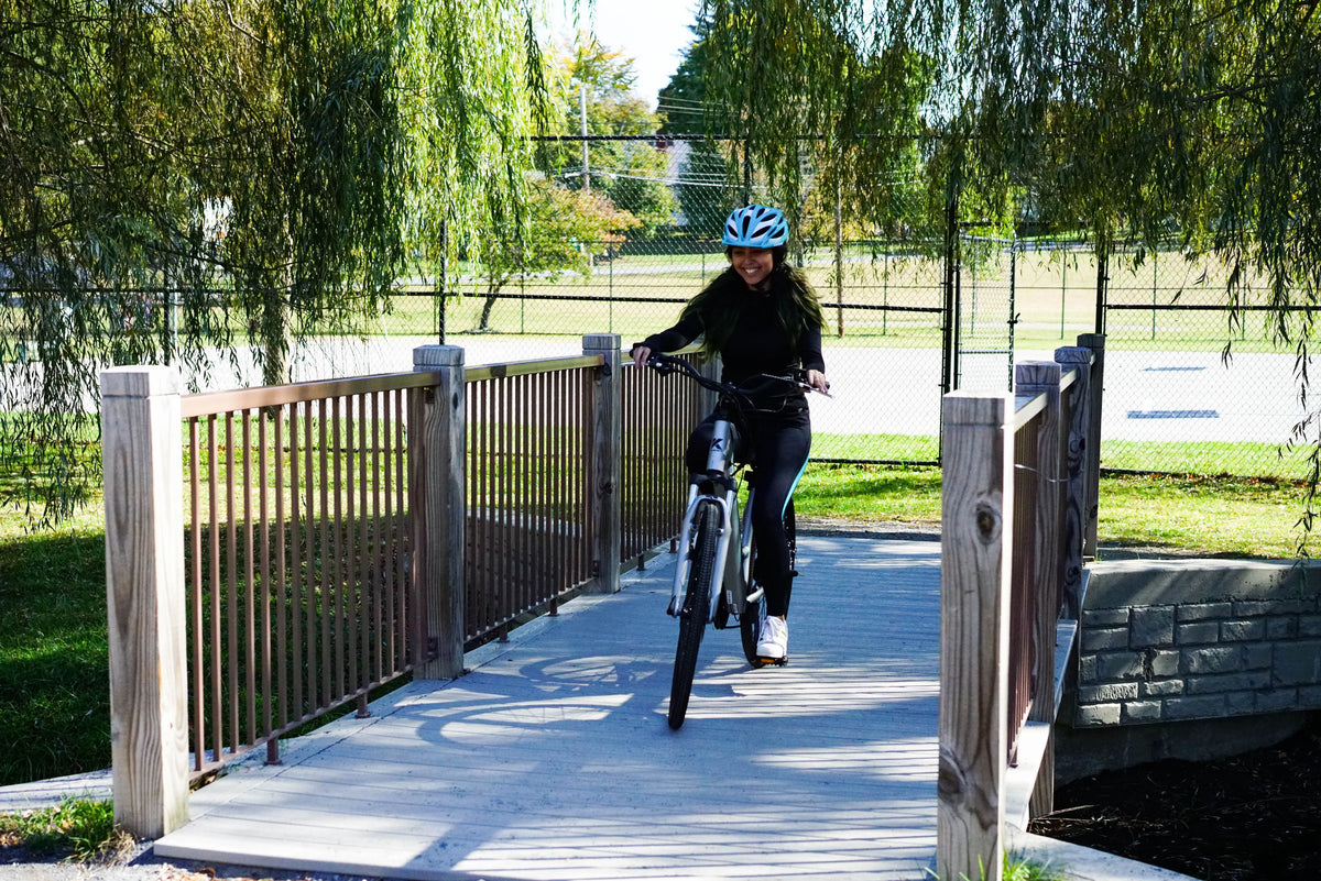 Gray 350W Step-Through Electric Bicycle K8348