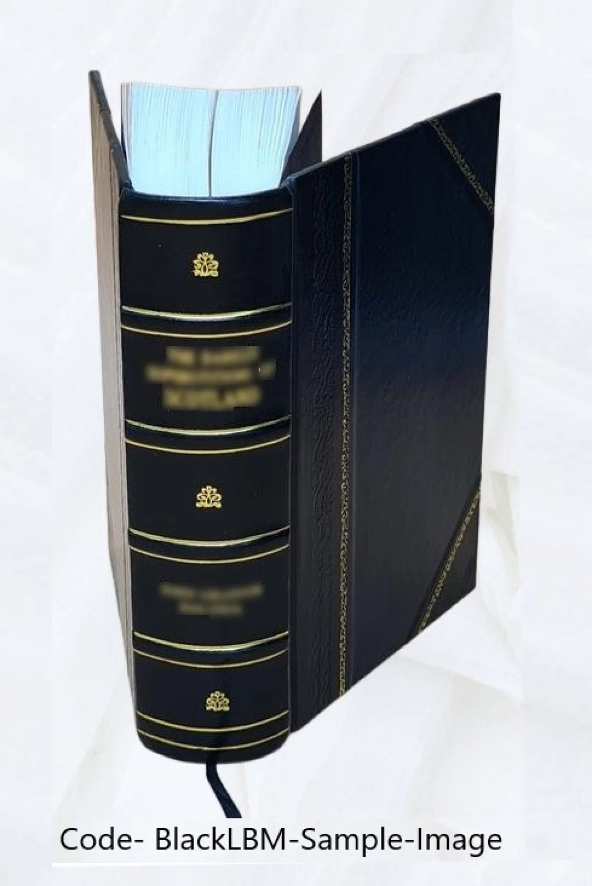 Leather Bound Parliamentary Speeches D940