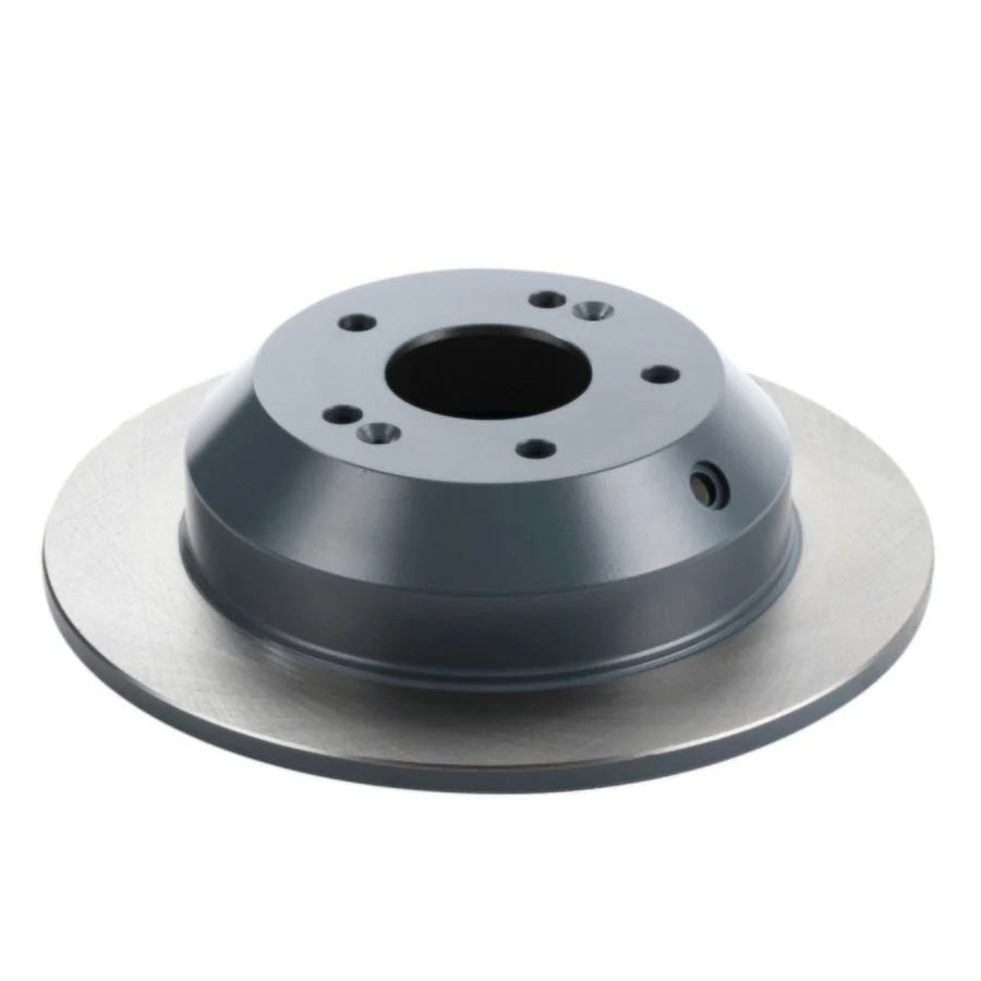 Painted Brake Rotor L120