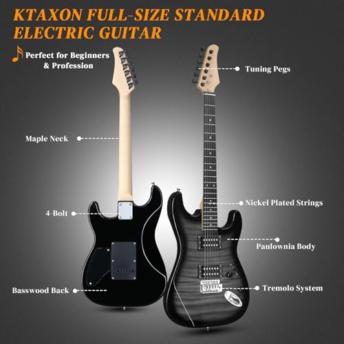 39 Inch H-H Pickups Electric Guitar Set with 20W Amplifier, Bag, Strap, Cable, Accessories D716