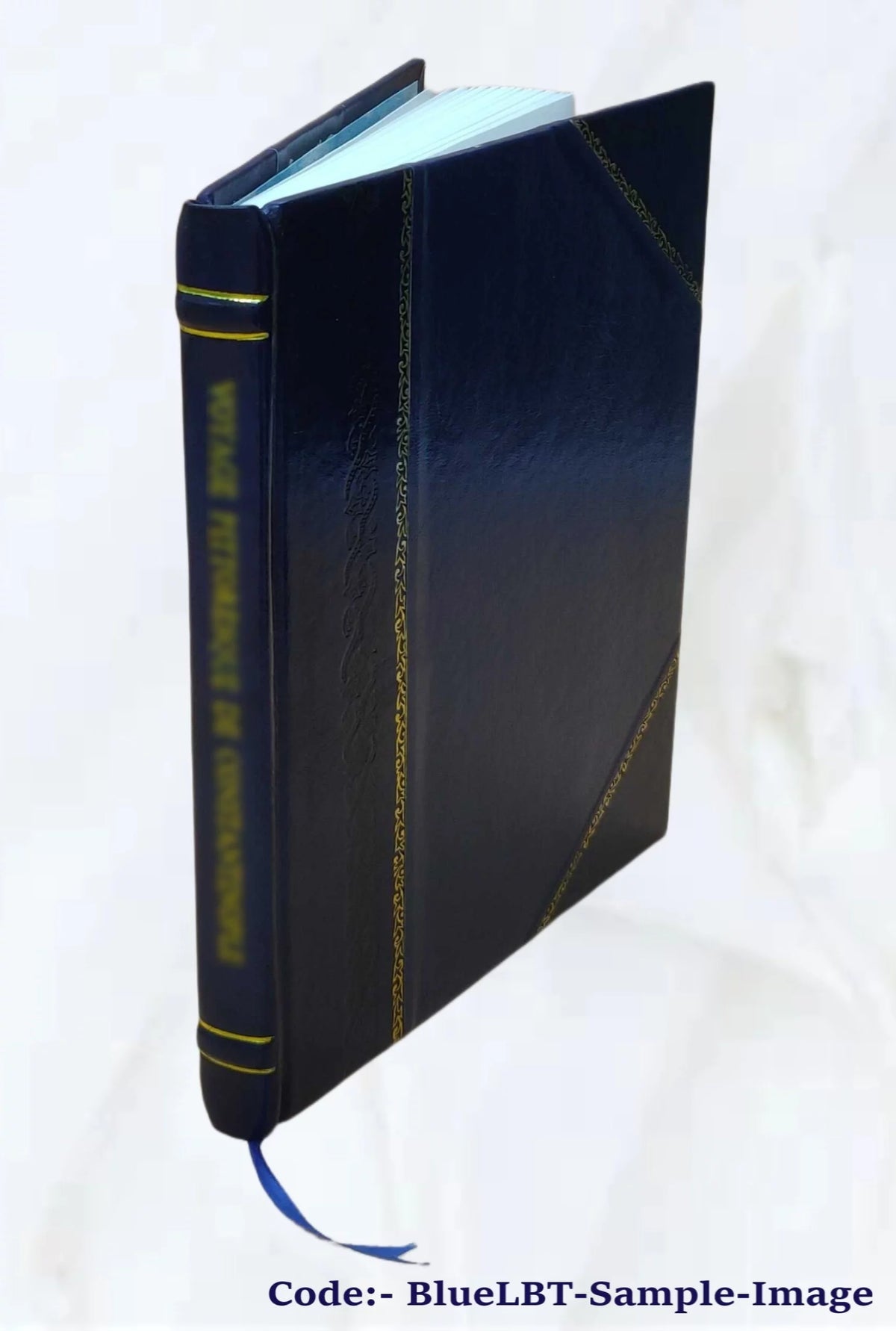 Peoria City Atlas 1893 Leather Bound C155061