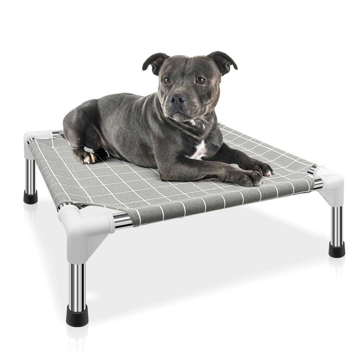 Elevated Pet Bed Dog Cot for Small Dogs P636901