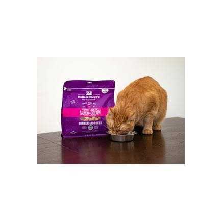 Freeze Dried Cat Food X6349