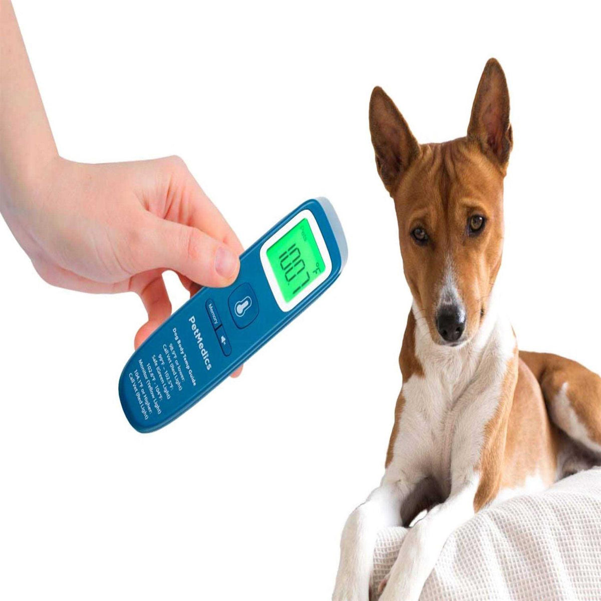 Digital Non-Contact Dog Thermometer L802632