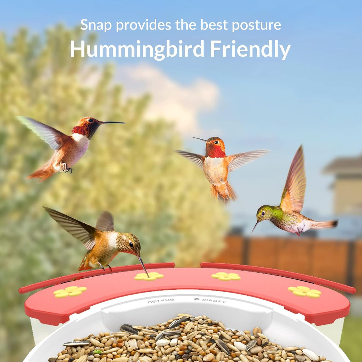Bird Feeder with Camera B39088