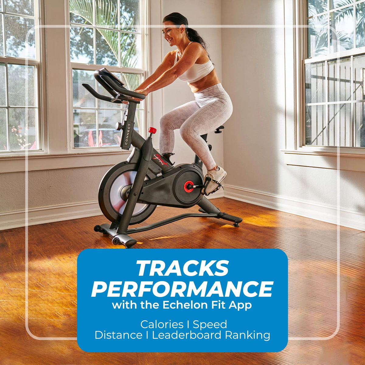 Indoor Cycling Exercise Bike A207