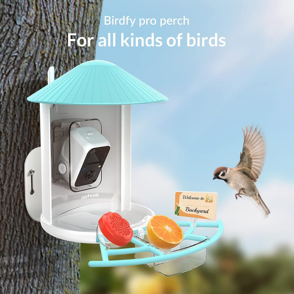 Bird Feeder with Camera B39088