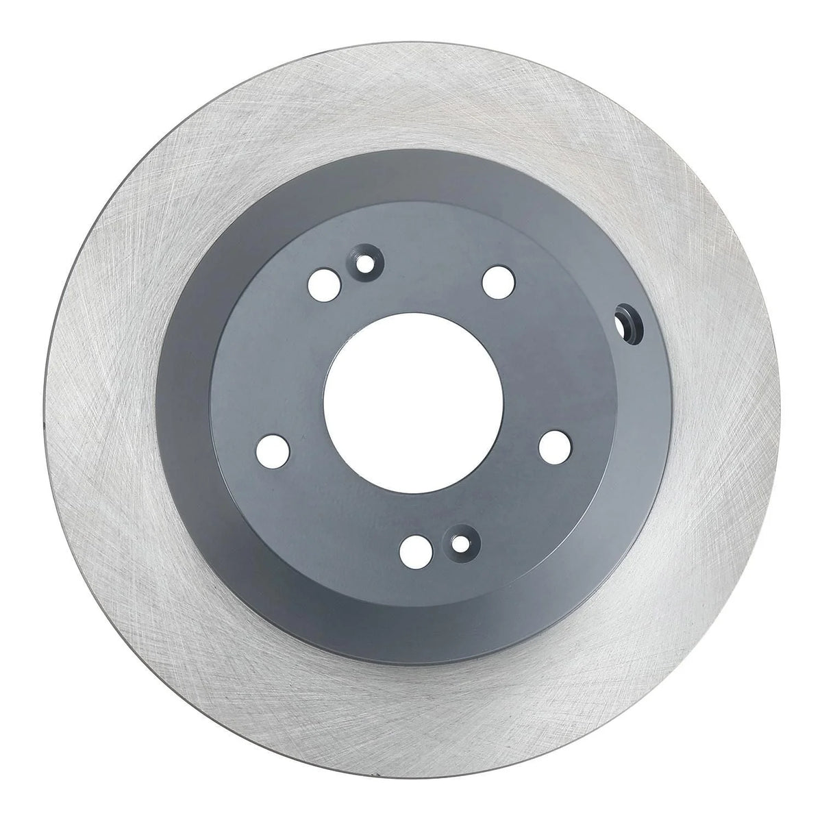 Painted Brake Rotor L120