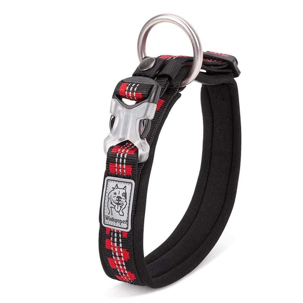 Premium Dog Collar Y2681
