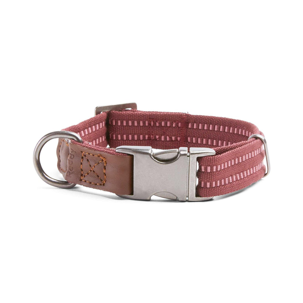 Webbed Dog Collar M2120