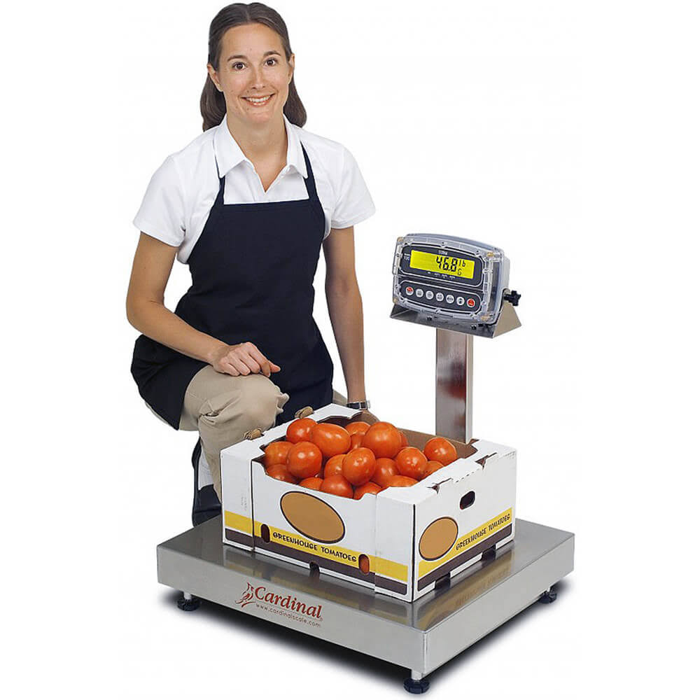 150 lb/60 kg Bench Scale with Indicator R546223