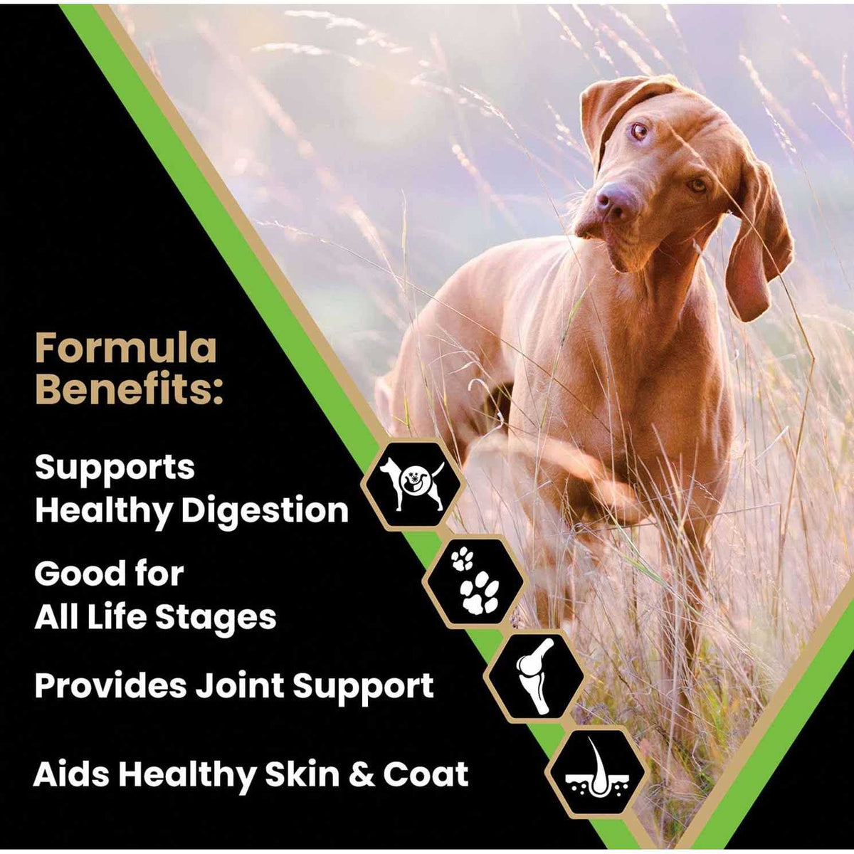 Dry Dog Food D7843