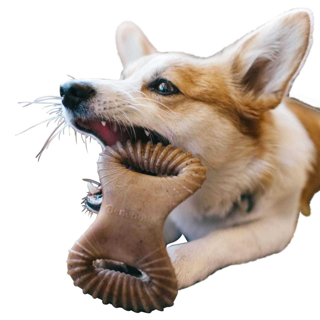 Dental Chew Dog Toy D1010