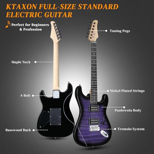 39 Inch H-H Pickups Electric Guitar Set with 20W Amplifier, Bag, Strap, Cable, Accessories D716