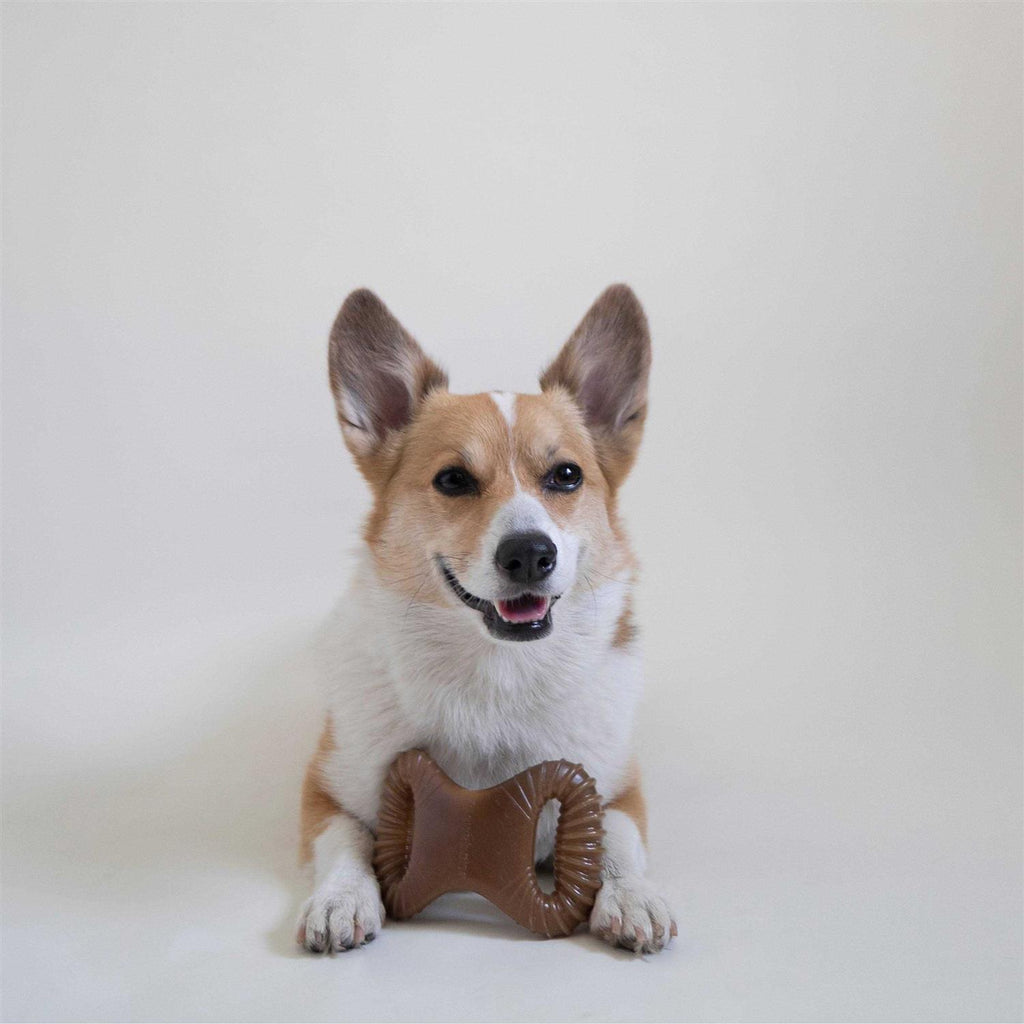 Dental Chew Dog Toy D1010