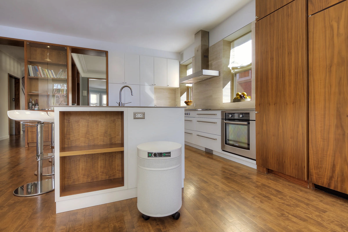 Powdered Coated Galvanized Metal Air Purifier With White Finish I652