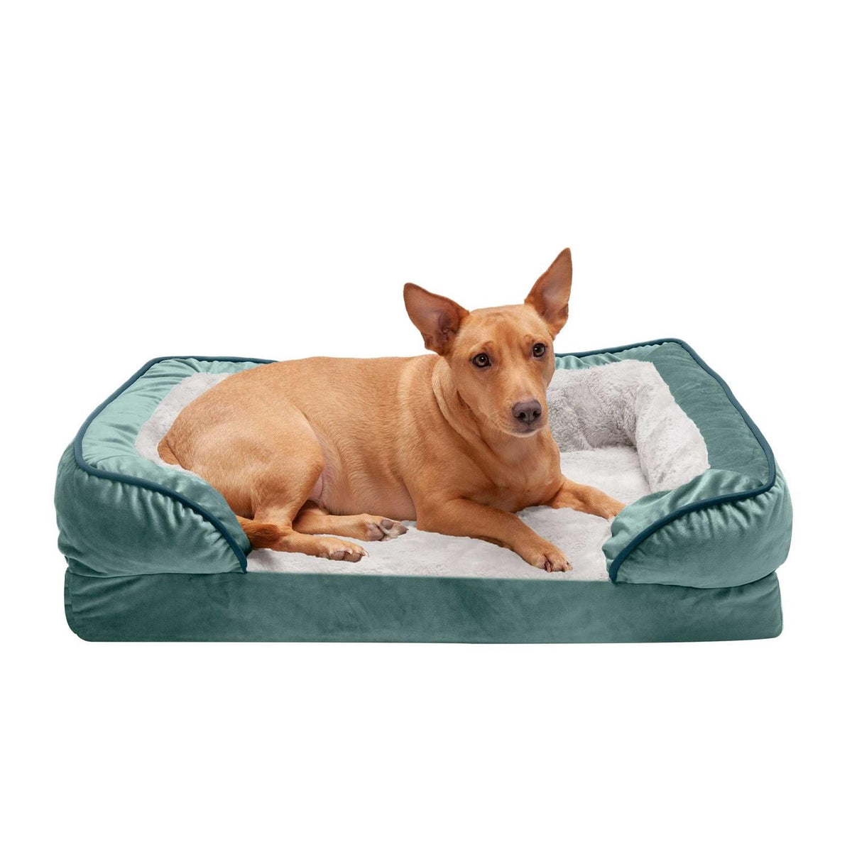 Sofa Dog Bed I46205