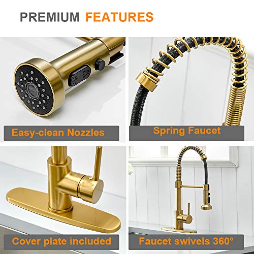 Matte Black&Brushed Nickel Spring Kitchen Faucet with Pull Down Sprayer S2996