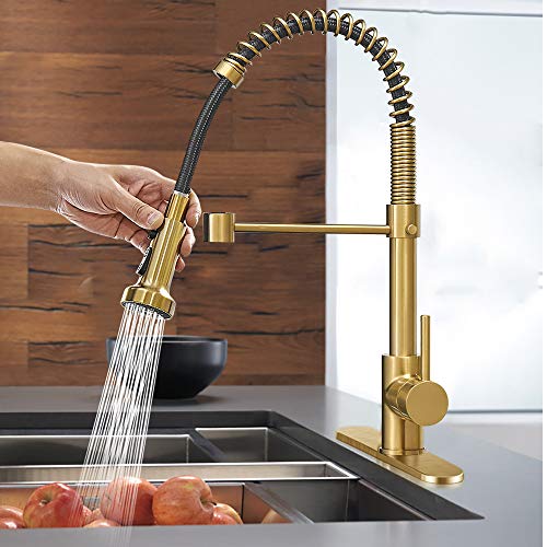 Matte Black&Brushed Nickel Spring Kitchen Faucet with Pull Down Sprayer S2996
