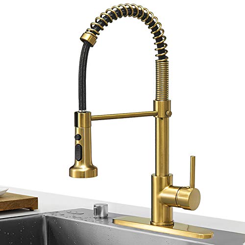 Matte Black&Brushed Nickel Spring Kitchen Faucet with Pull Down Sprayer S2996