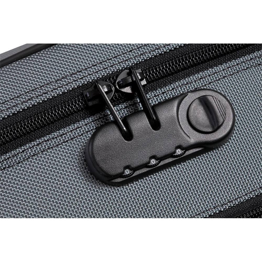 Black Violin Case L592902