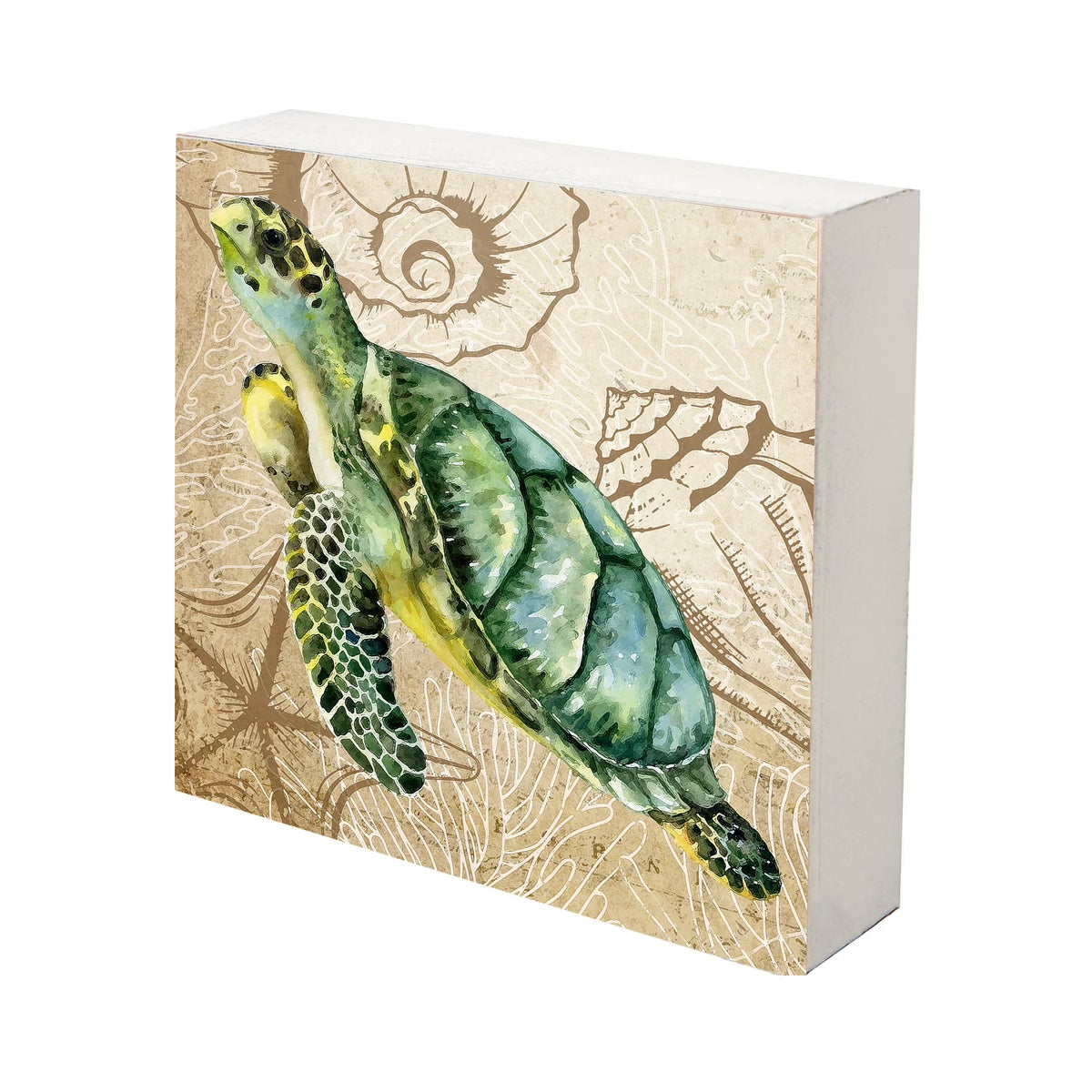 Turtle Art Canvas Shadow Box - 10x10 A6709