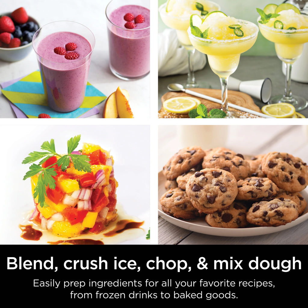 Blender and Food Processor D707