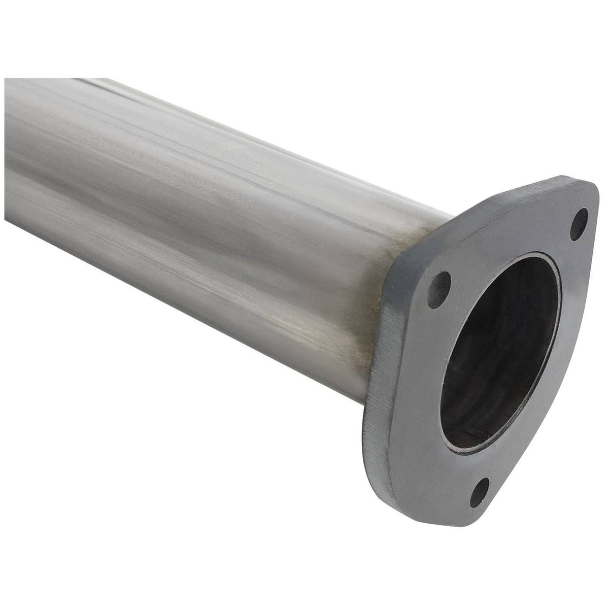 Catalytic Converter F365