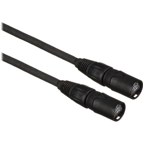 ProCat etherCON Cable - 100 Foot Q597127