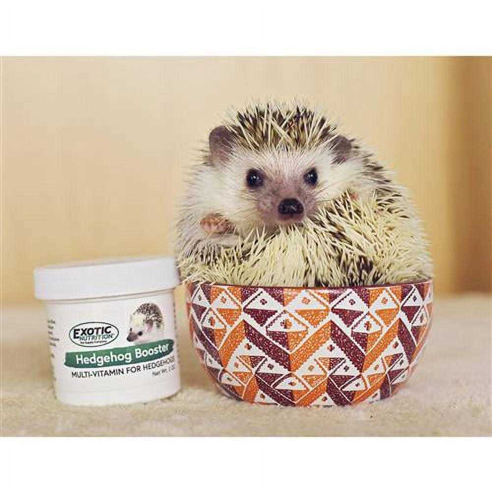 Hedgehog Home & Starter Package L92449