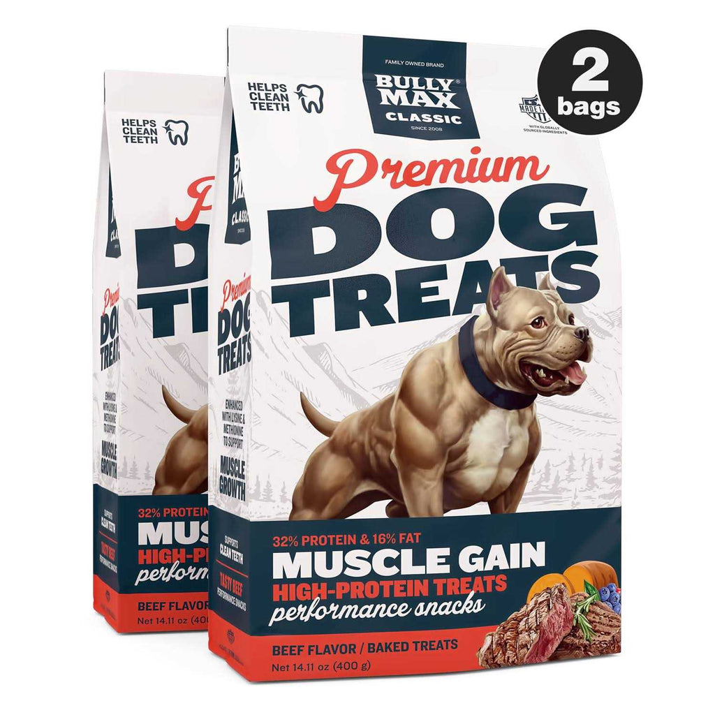 Premium Beef Dog Treats W5252