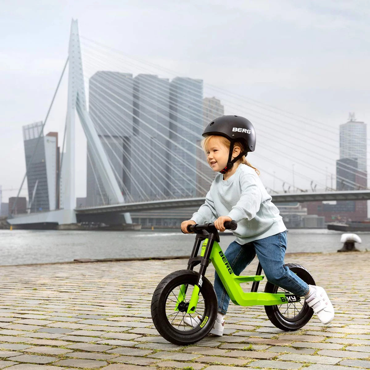 Green City Bike L255