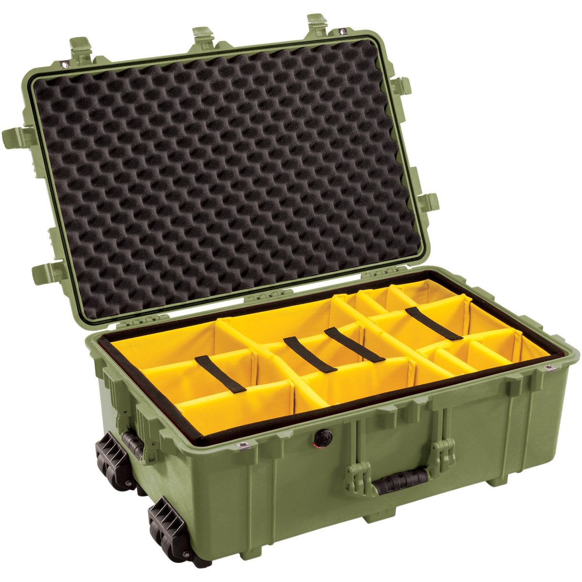 1650 Case with Padded Dividers E3888