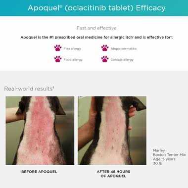 16 mg for Dogs V9446