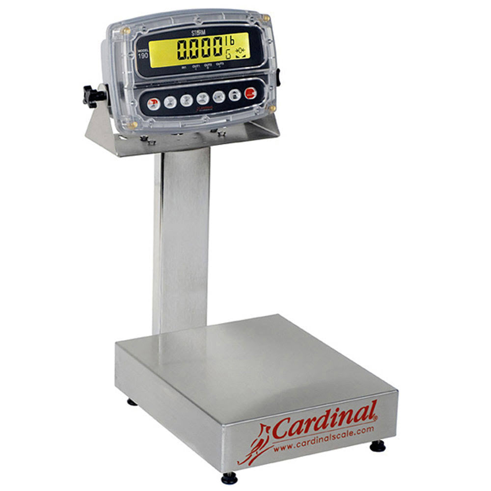 150 lb/60 kg Bench Scale with Indicator R546223