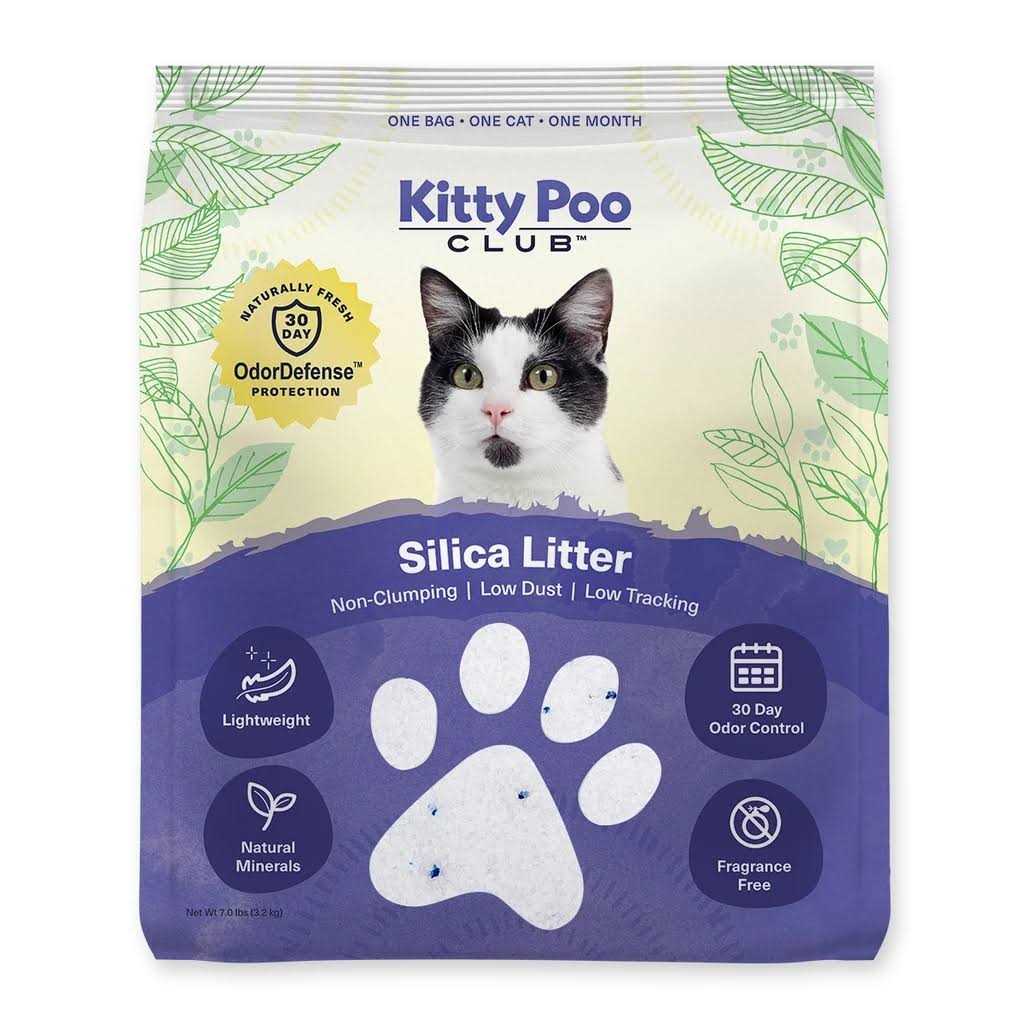 Silica Litter with Disposable Cat Litter Box V996054