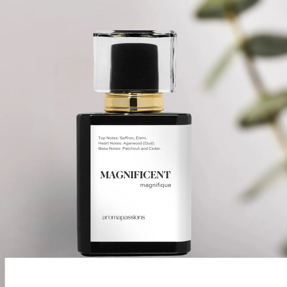 Inspired by Oud Extrait De Parfum A6733