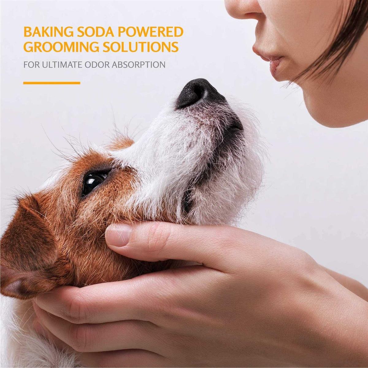 Deodorizing Dog Shampoo A530182