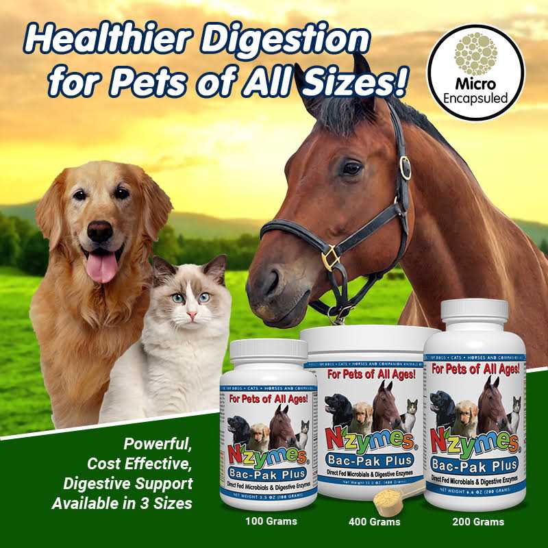 Pet Supplies L594061